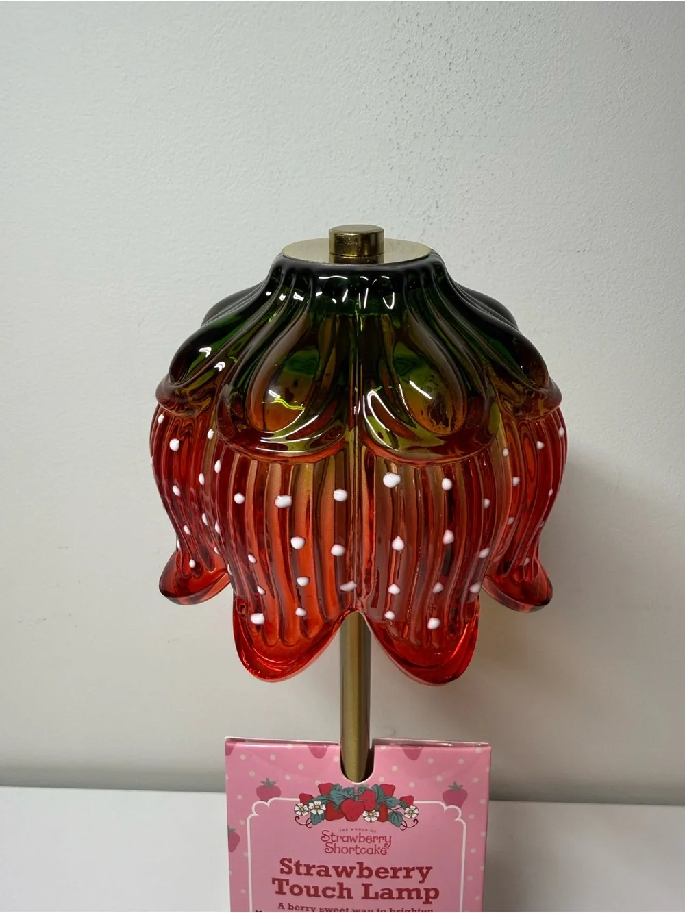 Strawberry Shortcake Touch Lamp USB Rechargeable Glass Dimmable Collectable